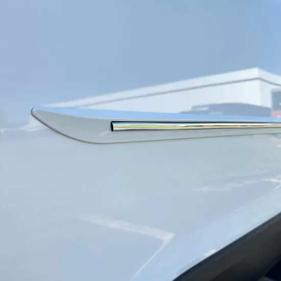 Painted Molding with Chrome Insert : Nissan Sentra Painted
